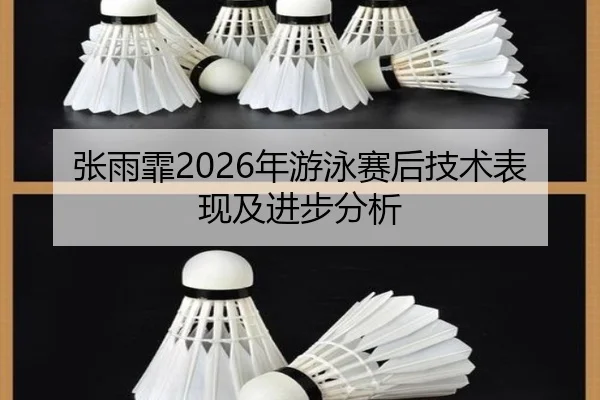 张雨霏2026年游泳赛后技术表现及进步分析